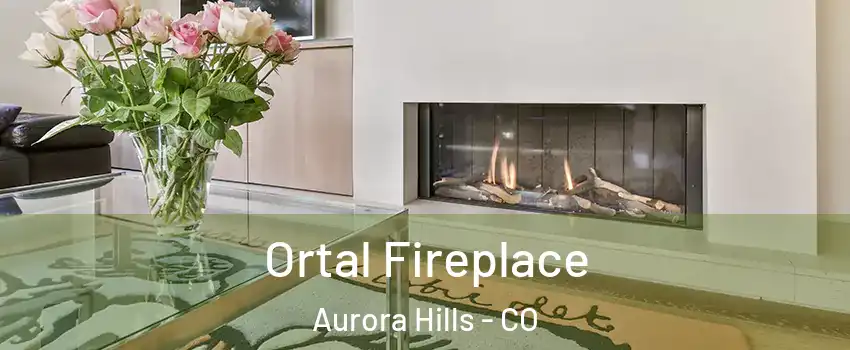 Ortal Fireplace Aurora Hills - CO