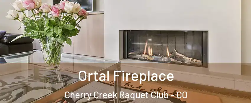 Ortal Fireplace Cherry Creek Raquet Club - CO
