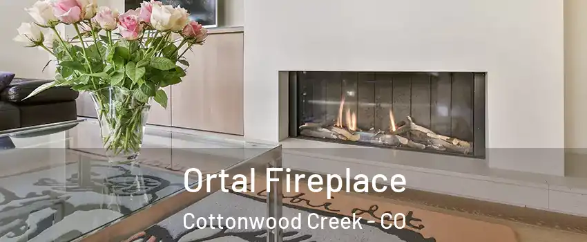 Ortal Fireplace Cottonwood Creek - CO