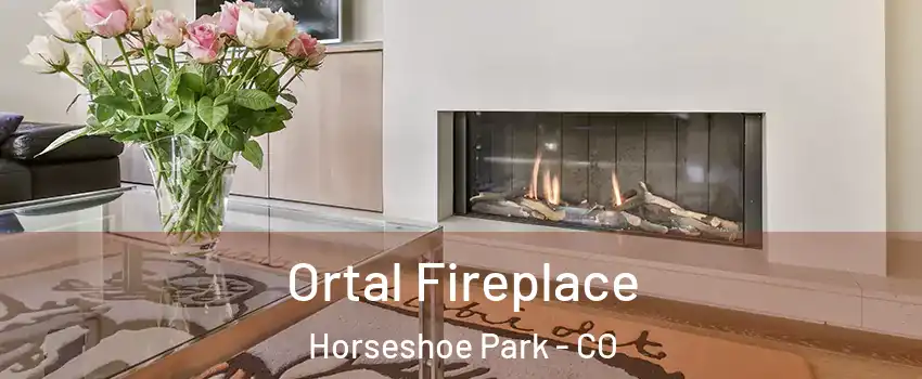 Ortal Fireplace Horseshoe Park - CO