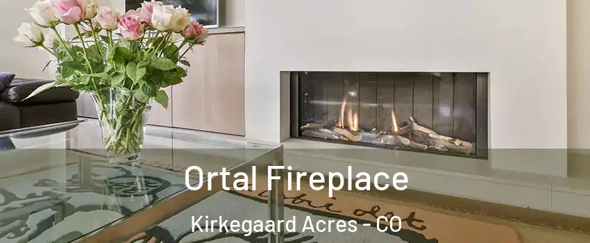 Ortal Fireplace Kirkegaard Acres - CO