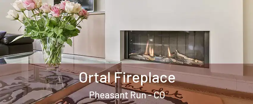 Ortal Fireplace Pheasant Run - CO