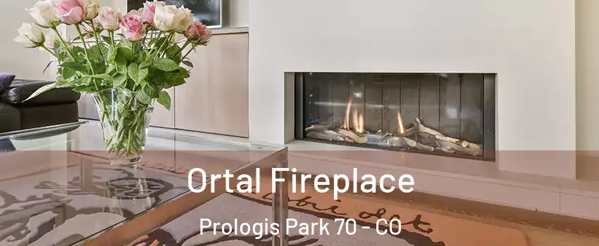 Ortal Fireplace Prologis Park 70 - CO