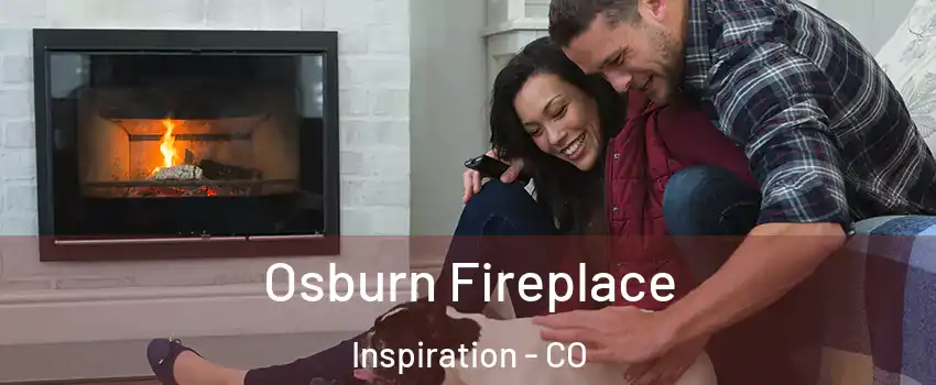 Osburn Fireplace Inspiration - CO
