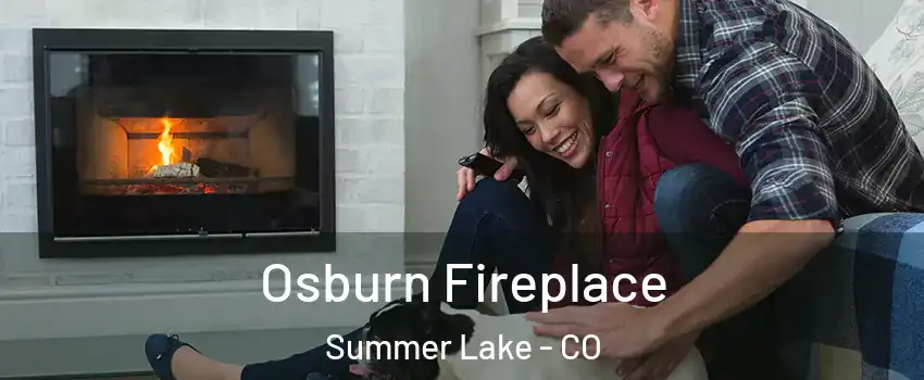 Osburn Fireplace Summer Lake - CO