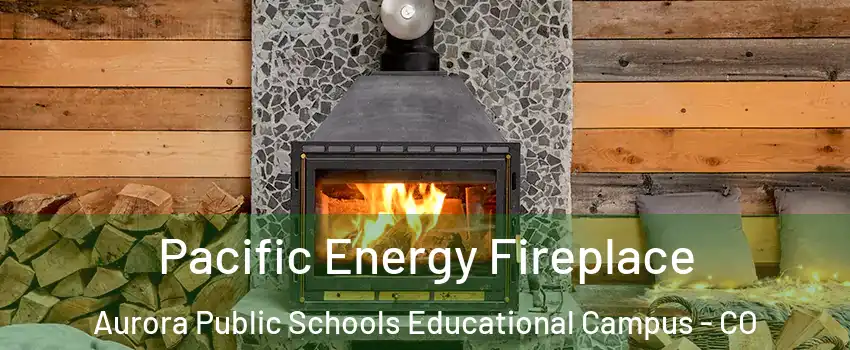 Pacific Energy Fireplace Aurora Public Schools Educational Campus - CO
