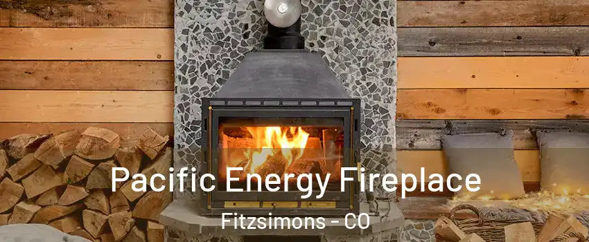 Pacific Energy Fireplace Fitzsimons - CO