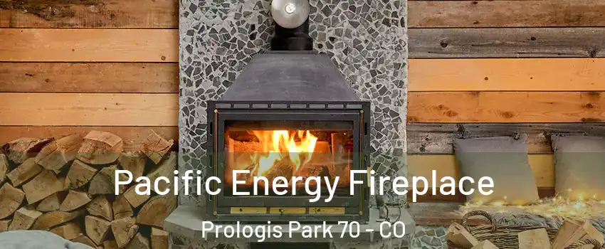 Pacific Energy Fireplace Prologis Park 70 - CO