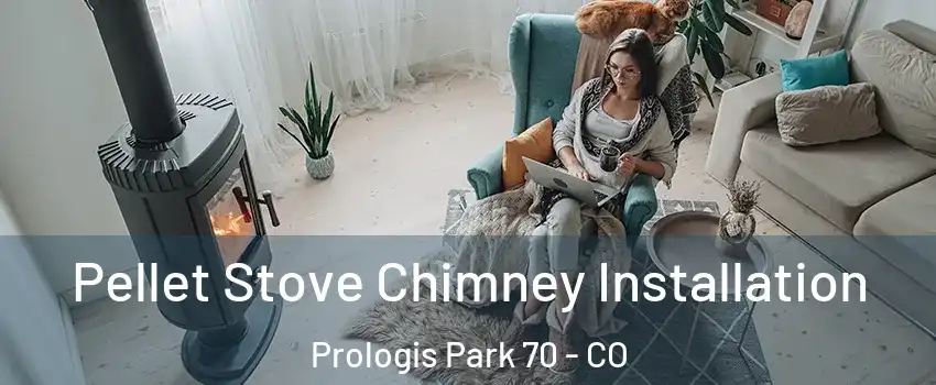 Pellet Stove Chimney Installation Prologis Park 70 - CO