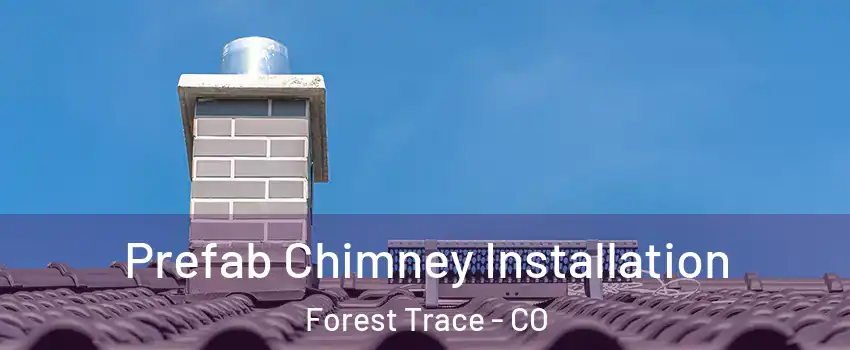 Prefab Chimney Installation Forest Trace - CO