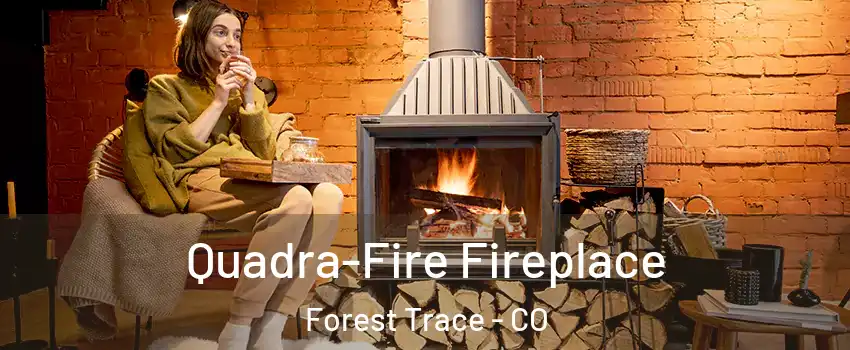 Quadra-Fire Fireplace Forest Trace - CO