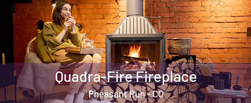 Quadra-Fire Fireplace Pheasant Run - CO