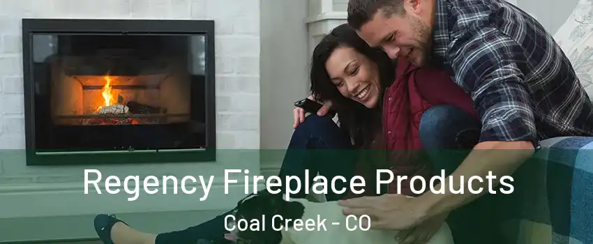 Regency Fireplace Products Coal Creek - CO
