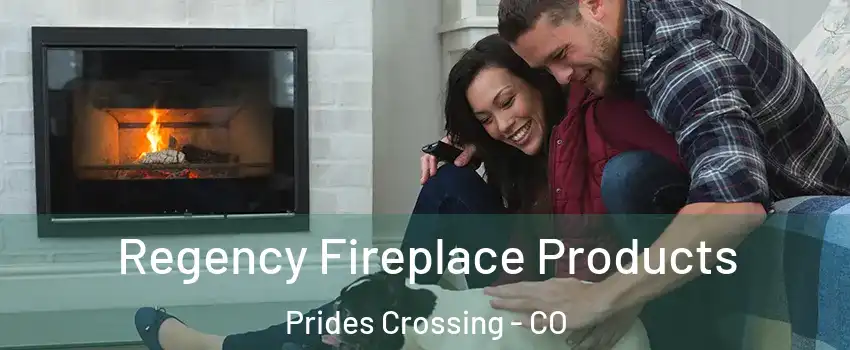 Regency Fireplace Products Prides Crossing - CO