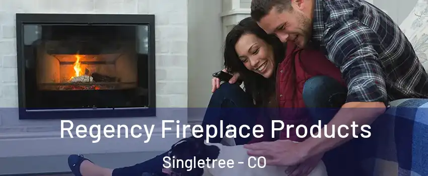 Regency Fireplace Products Singletree - CO