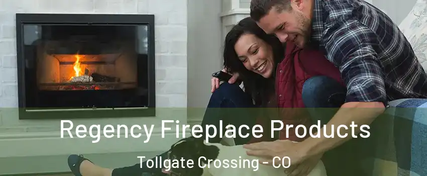Regency Fireplace Products Tollgate Crossing - CO