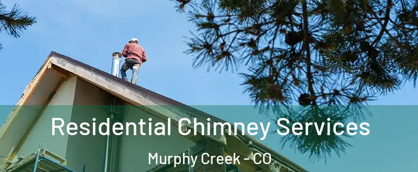Residential Chimney Services Murphy Creek - CO