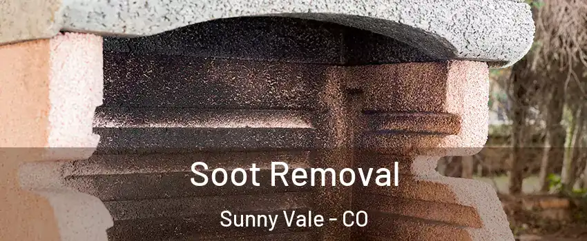 Soot Removal Sunny Vale - CO