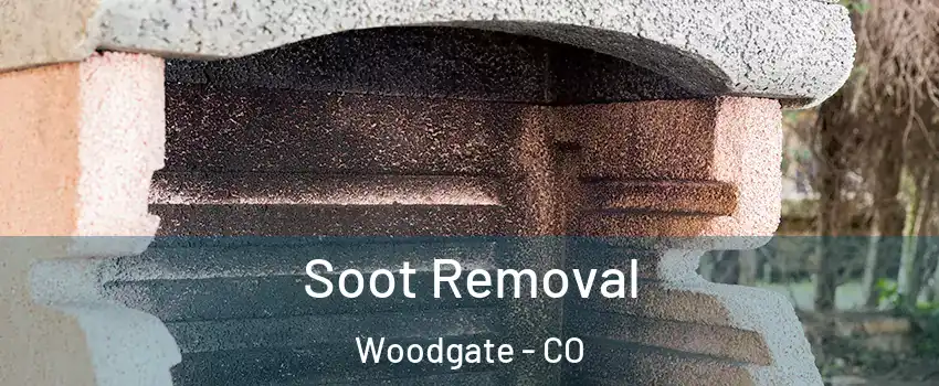 Soot Removal Woodgate - CO