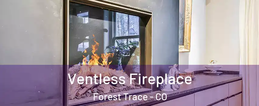 Ventless Fireplace Forest Trace - CO