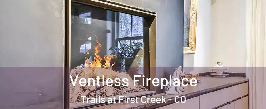Ventless Fireplace Trails at First Creek - CO