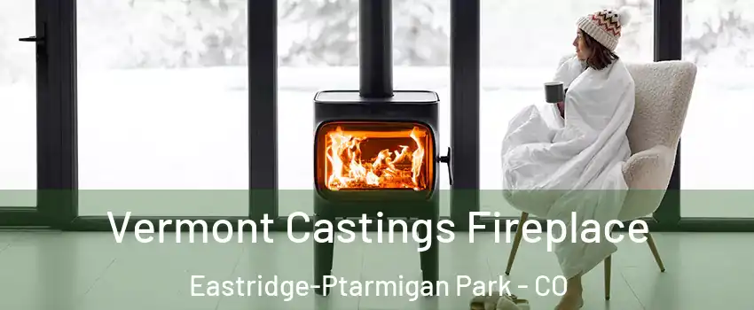 Vermont Castings Fireplace Eastridge-Ptarmigan Park - CO