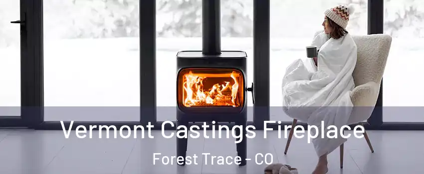 Vermont Castings Fireplace Forest Trace - CO