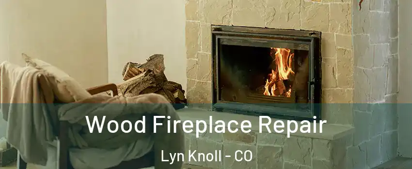 Wood Fireplace Repair Lyn Knoll - CO