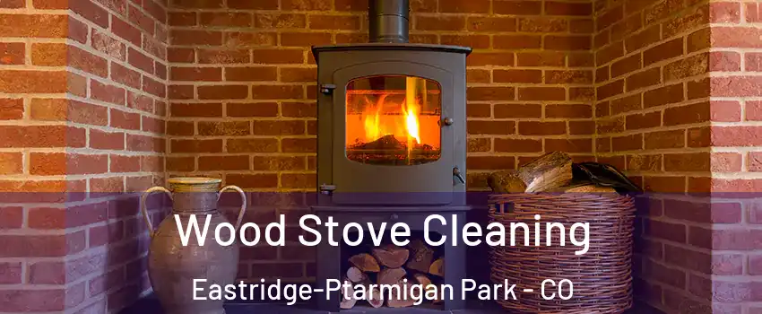 Wood Stove Cleaning Eastridge-Ptarmigan Park - CO