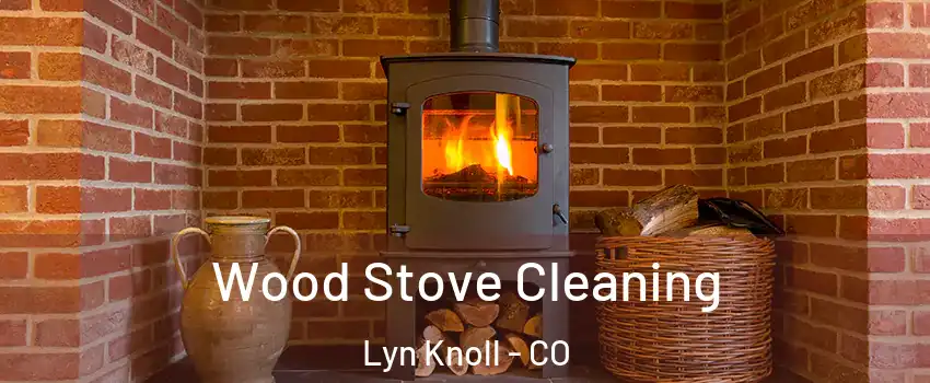 Wood Stove Cleaning Lyn Knoll - CO