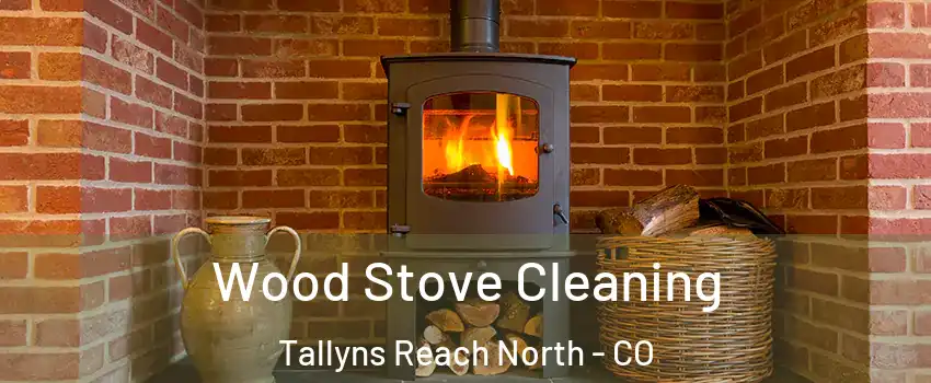 Wood Stove Cleaning Tallyns Reach North - CO