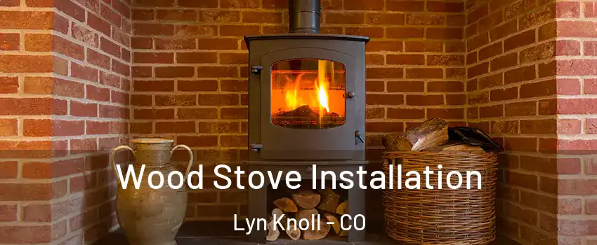 Wood Stove Installation Lyn Knoll - CO