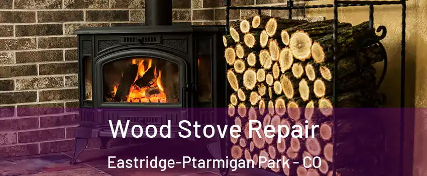 Wood Stove Repair Eastridge-Ptarmigan Park - CO